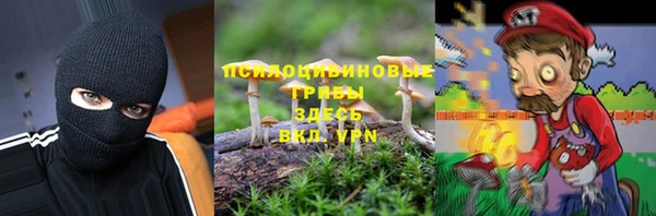шишки Беломорск