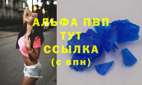 шишки Беломорск