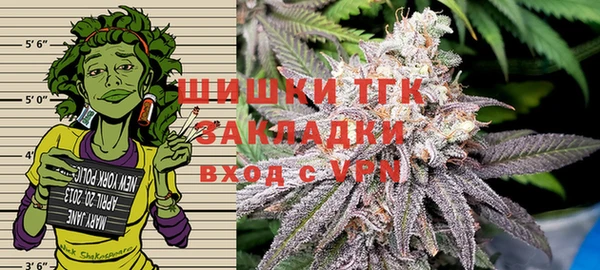 шишки Беломорск