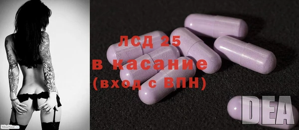 сатива Новозыбков