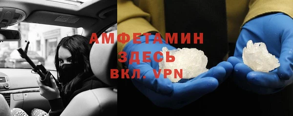 шишки Беломорск