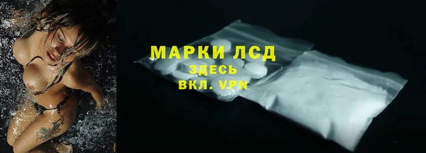 шишки Беломорск