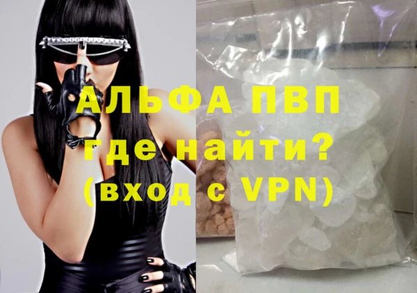 стаф Новодвинск