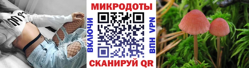где купить   kraken ONION  Псилоцибиновые грибы прущие грибы  Пионерский 